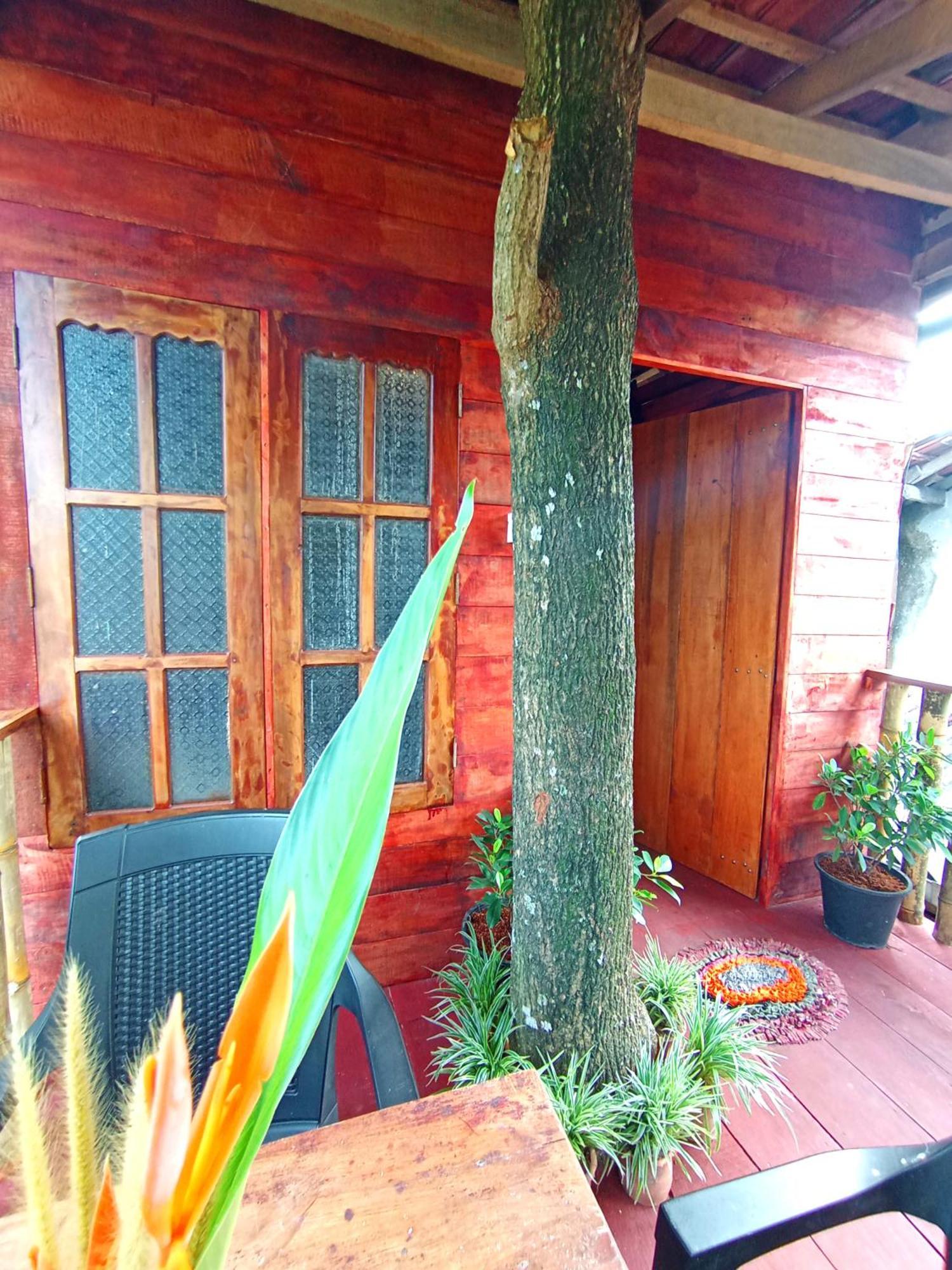 Villa Parrot Tree House Mirissa Exterior foto