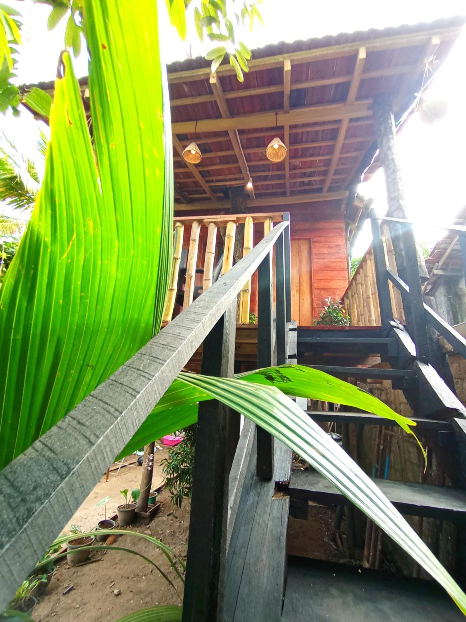 Villa Parrot Tree House Mirissa Exterior foto