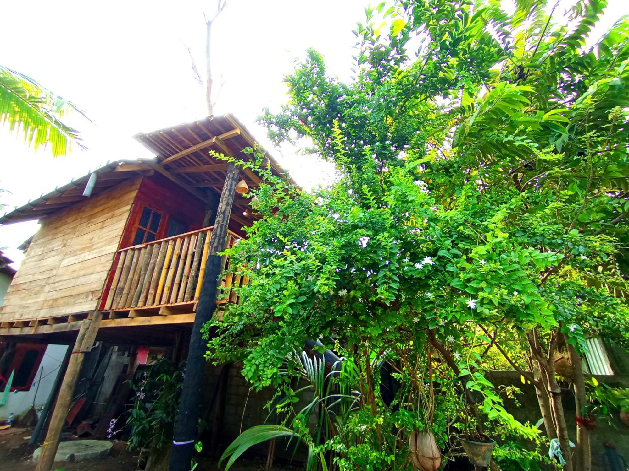 Villa Parrot Tree House Mirissa Exterior foto