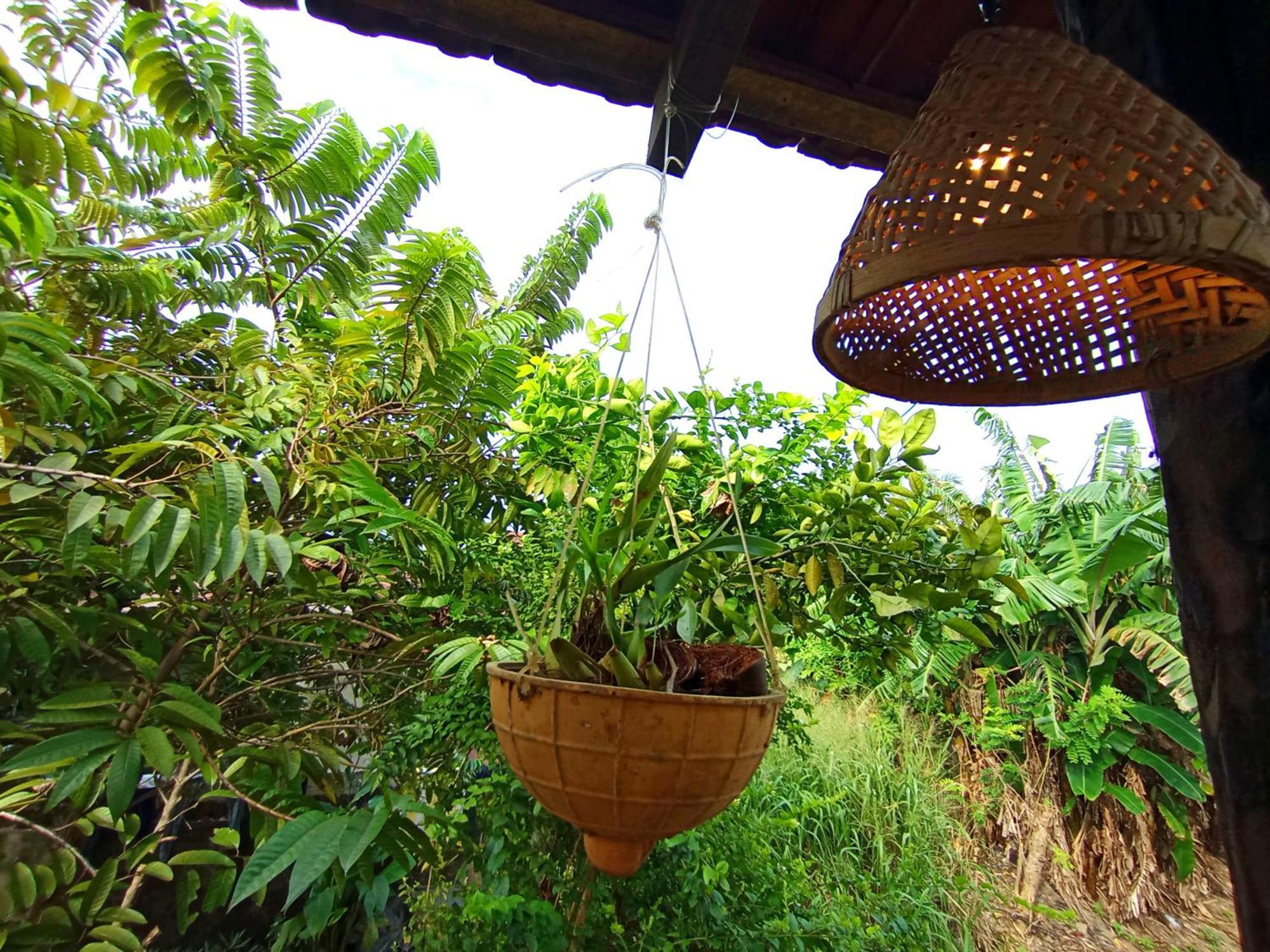 Villa Parrot Tree House Mirissa Exterior foto