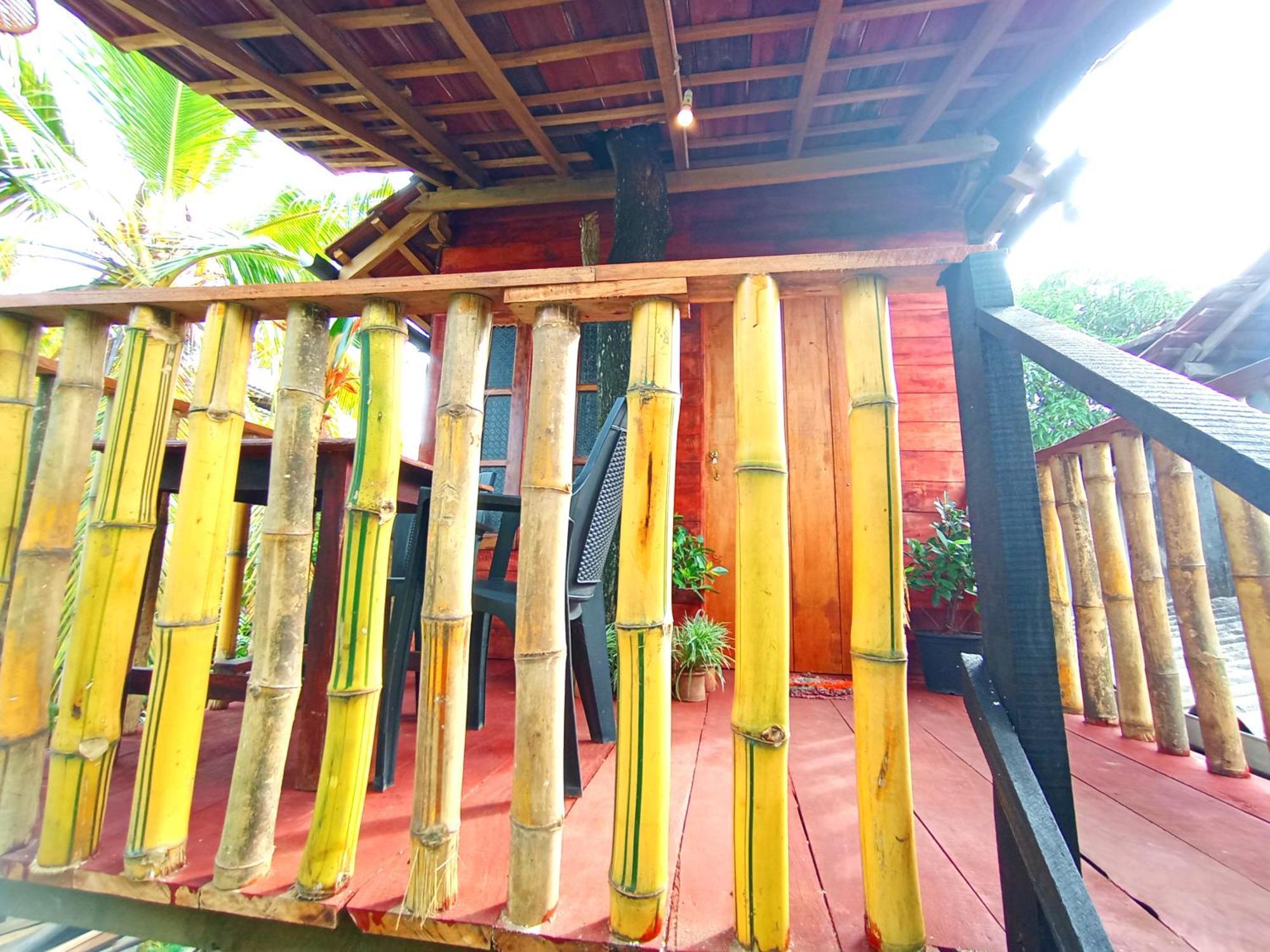 Villa Parrot Tree House Mirissa Exterior foto