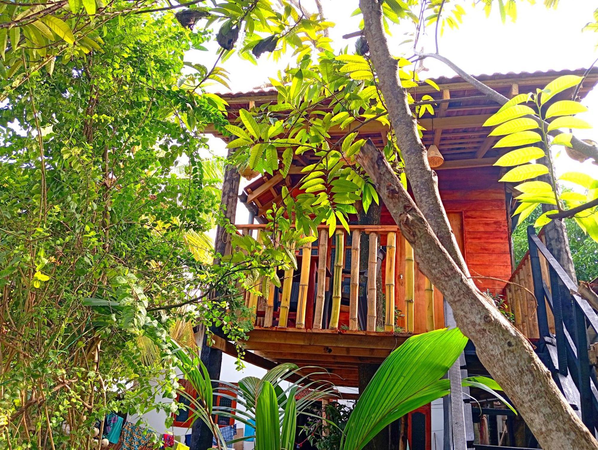 Villa Parrot Tree House Mirissa Exterior foto