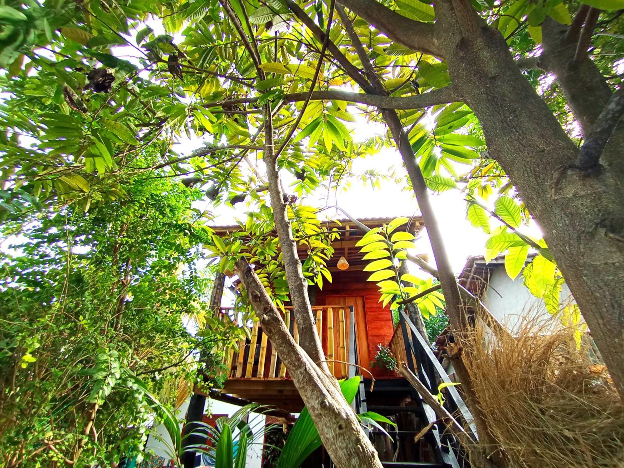 Villa Parrot Tree House Mirissa Exterior foto