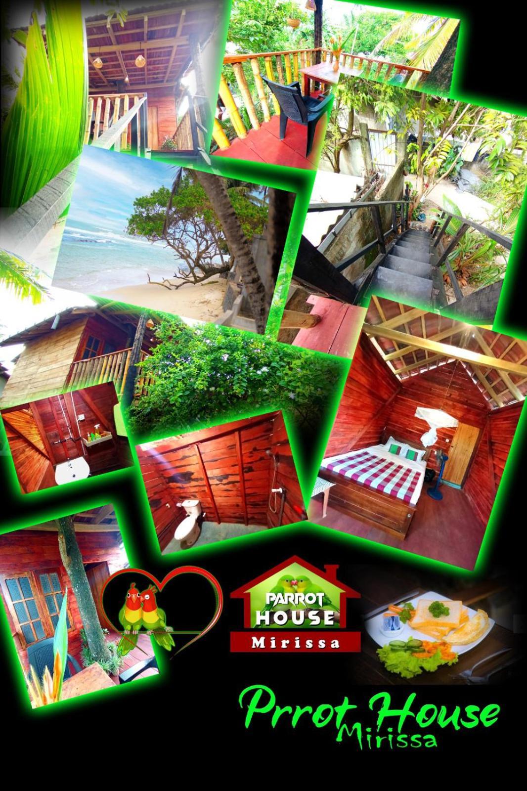 Villa Parrot Tree House Mirissa Exterior foto